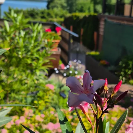 Juno Ferienhaus Mrągowo