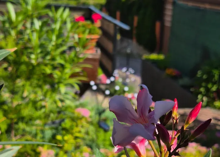 Juno Hébergement de vacances Mrągowo