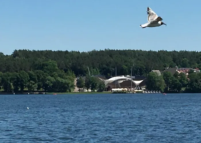 Juno Hébergement de vacances